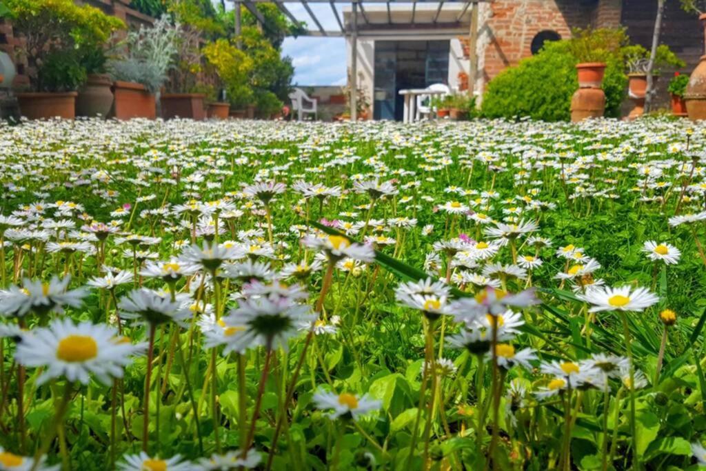 Apartamento Bellavista La Tua Romantica Vacanza Sul Trasimeno Castiglione del Lago Exterior foto