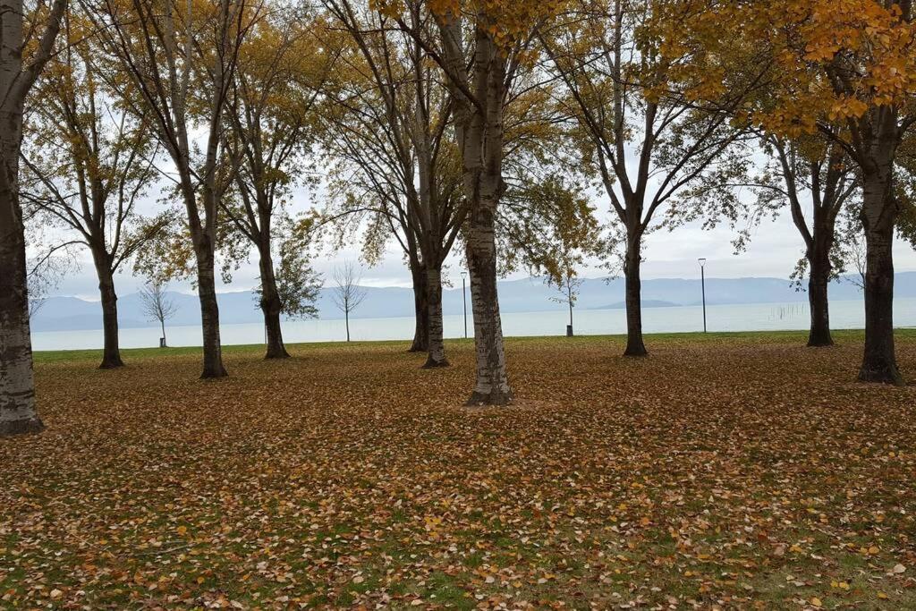 Apartamento Bellavista La Tua Romantica Vacanza Sul Trasimeno Castiglione del Lago Exterior foto