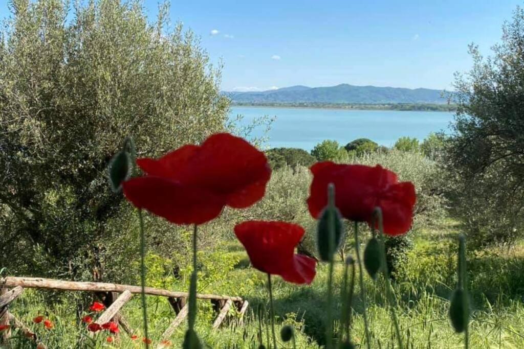 Apartamento Bellavista La Tua Romantica Vacanza Sul Trasimeno Castiglione del Lago Exterior foto