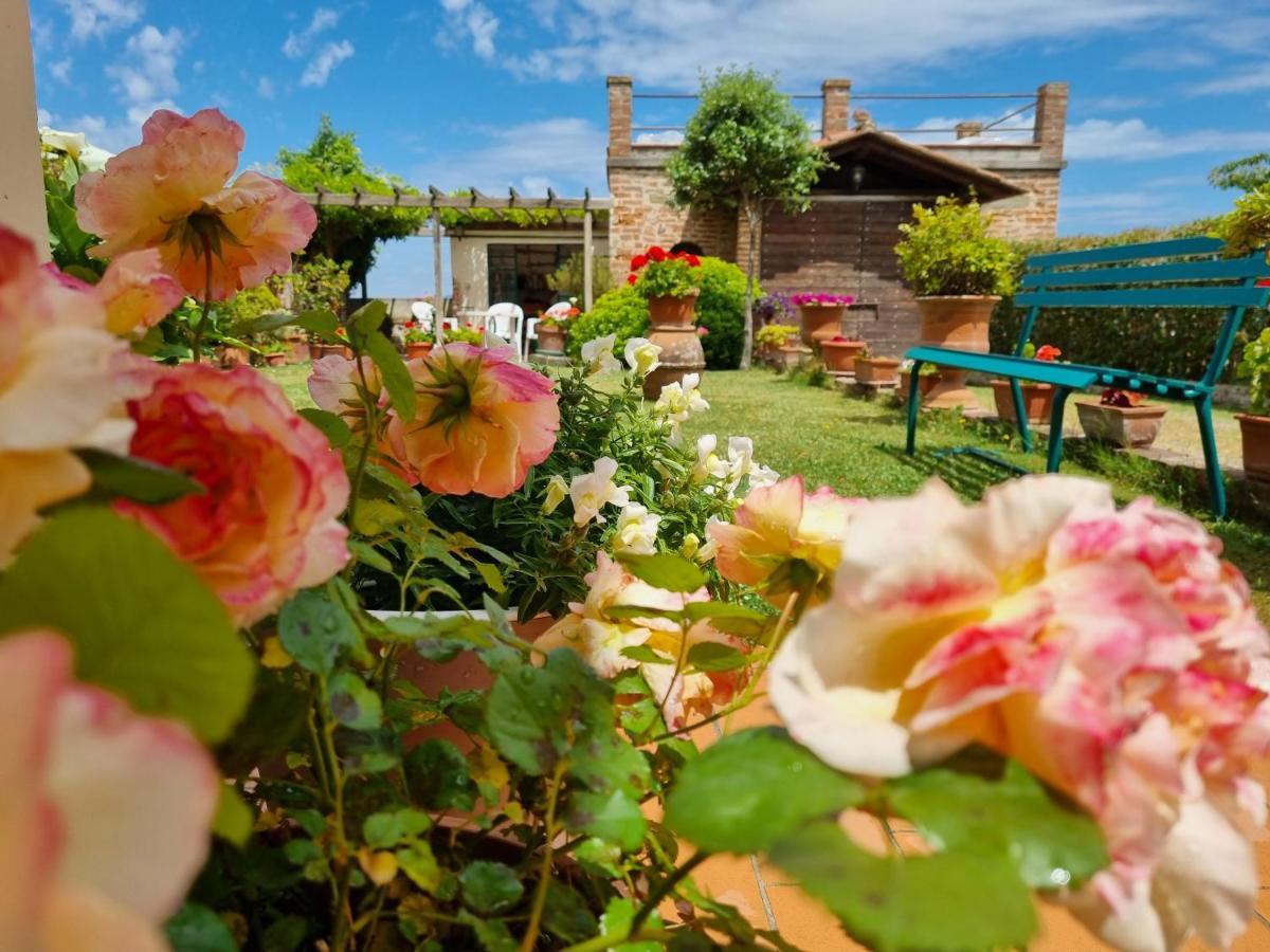 Apartamento Bellavista La Tua Romantica Vacanza Sul Trasimeno Castiglione del Lago Exterior foto